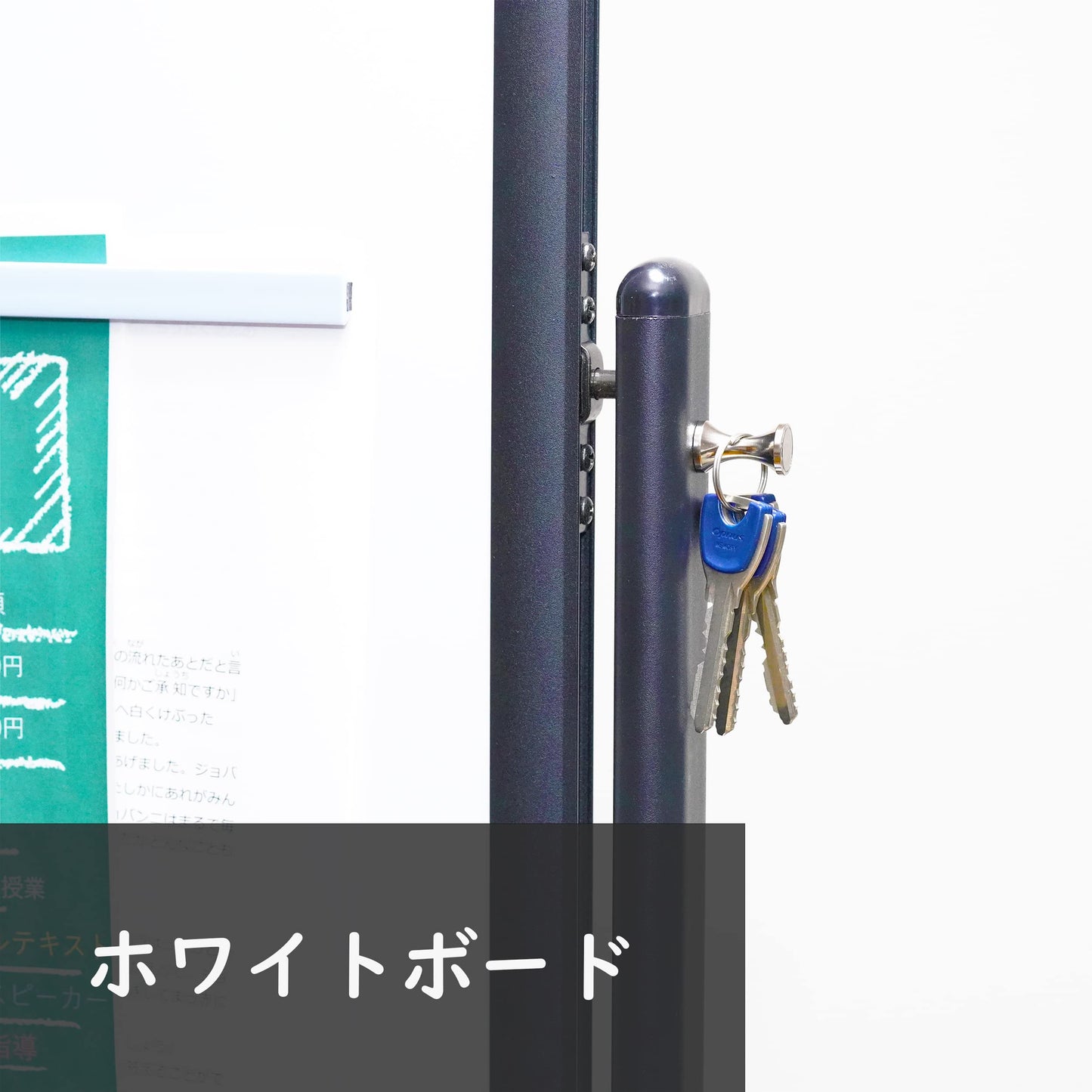 【防錆】強力ピンマグネット（Mサイズ/3個） ネオジム磁石 両面 ステンレス 冷蔵庫 ホワイトボード KYOKEI