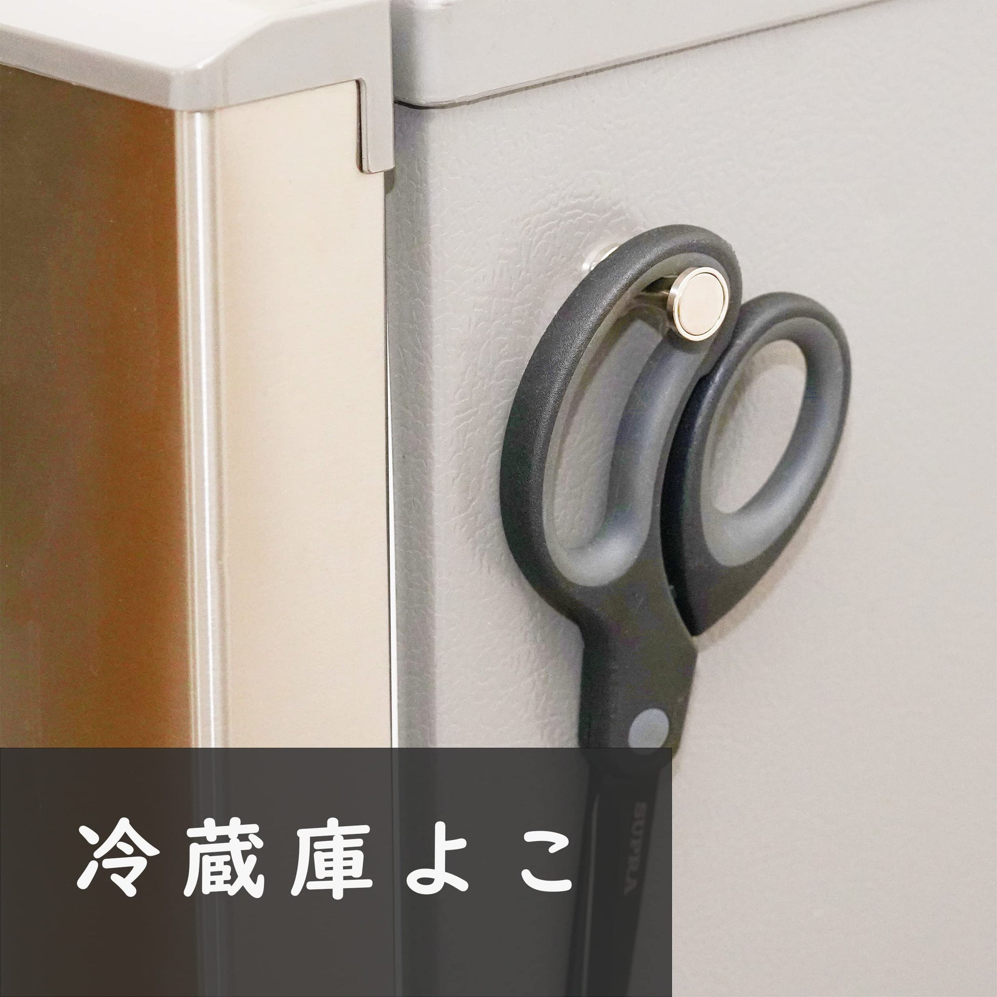【防錆】強力ピンマグネット（Mサイズ/3個） ネオジム磁石 両面 ステンレス 冷蔵庫 ホワイトボード KYOKEI